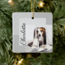 Search for simplistic christmas tree decorations Modern
