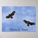 Search for hawk art Sky