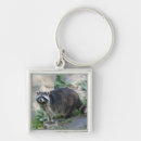 Search for cute raccoon key rings Racoon