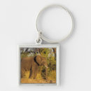 Search for zimbabwe key rings Nature