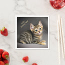 Search for cat napkins Animal