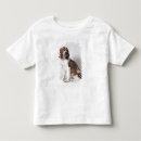 Search for springer tshirts Canine