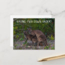 Search for having fun postcards Animal