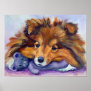 Search for sheltie posters Pets