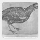 Search for fowls stickers Bird