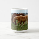 Search for foals mugs Mare
