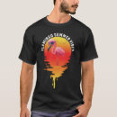Search for funny flamingo tshirts Flamingos