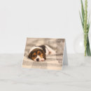 Search for cute beagles cards Beagle lover