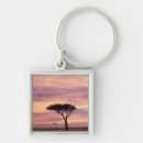 Search for acacia tree key rings Adam jones