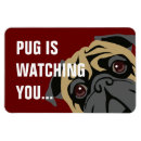 Search for pug magnets Illustration