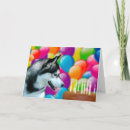 Search for black dog birthday cake Black and white