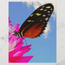 Search for butterflies stationery paper Vibrant