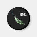Search for fishys magnets Fishing
