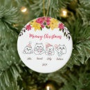 Search for aesthetic christmas tree decorations Minimalist