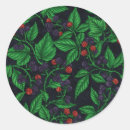 Search for blackberry fruit stickers Raspberry