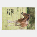 Search for foal Bay foal