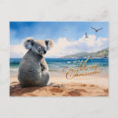 Search for koala postcards Cute animals