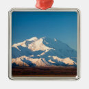 Search for daytime christmas tree decorations Nobody