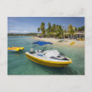 Search for banana postcards Beach