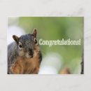Search for congradulations photography Cute