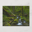 Search for temper postcards Moss