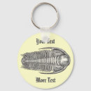 Search for fossil key rings Trilobite