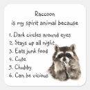 Search for racoon stickers Humour