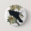Search for commons badges Bird