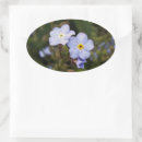 Search for forget me not flower stickers Blue