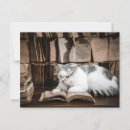 Search for reading glasses postcards Animals