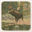 Search for hunt barware Nature
