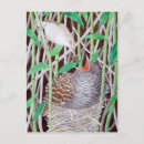 Search for common stamps postcards Birds