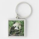 Search for hide key rings Wildlife