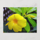 Search for patio postcards Summer