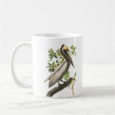 Search for john audubon mugs Birds