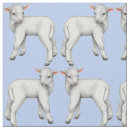 Search for lamb fabric Blue