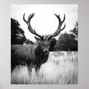 Search for modern deer art Forest