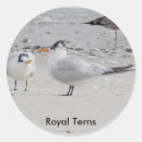 Search for royal baby stickers Boy