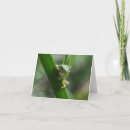 Search for tree frogs cards Encouragement