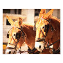 Search for mule art Team
