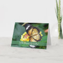 Search for butterfly sympathy cards Nature