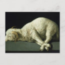 Search for sacrificial lamb 17th