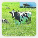 Search for funny cow stickers Farm