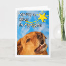 Search for veterinary graduate congratulations cards Dog