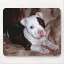 Search for pitbull mousepads Puppy