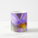 Search for panoramic mugs Panorama