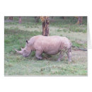 Search for kenya photography Wildlife