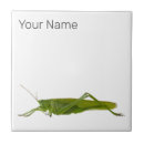 Search for macro tiles Animal
