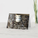 Search for junk cards Photography