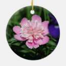 Search for peony christmas tree decorations Peonies